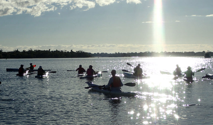 Kyaking in Noosa
