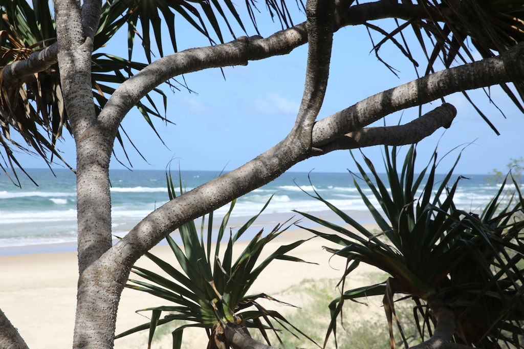 Noosa's eastern beaches