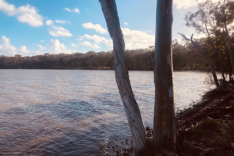 Lake Weyba