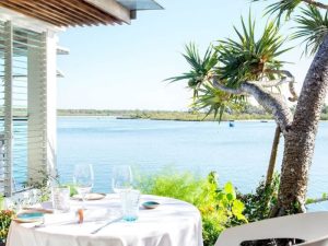 rickys river bar restaurant
