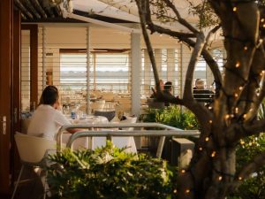 rickys river bar and restaurant